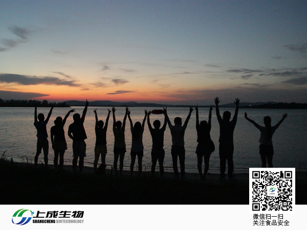 上成生物運動會之九真山拓展運動