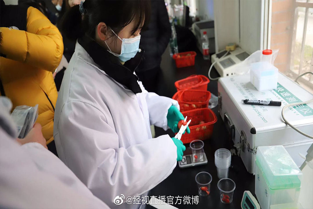 經(jīng)視直播官方微博報(bào)道：草莓抽檢樣品全部合格 武漢重點(diǎn)時(shí)節(jié)重點(diǎn)品種檢測成常態(tài)